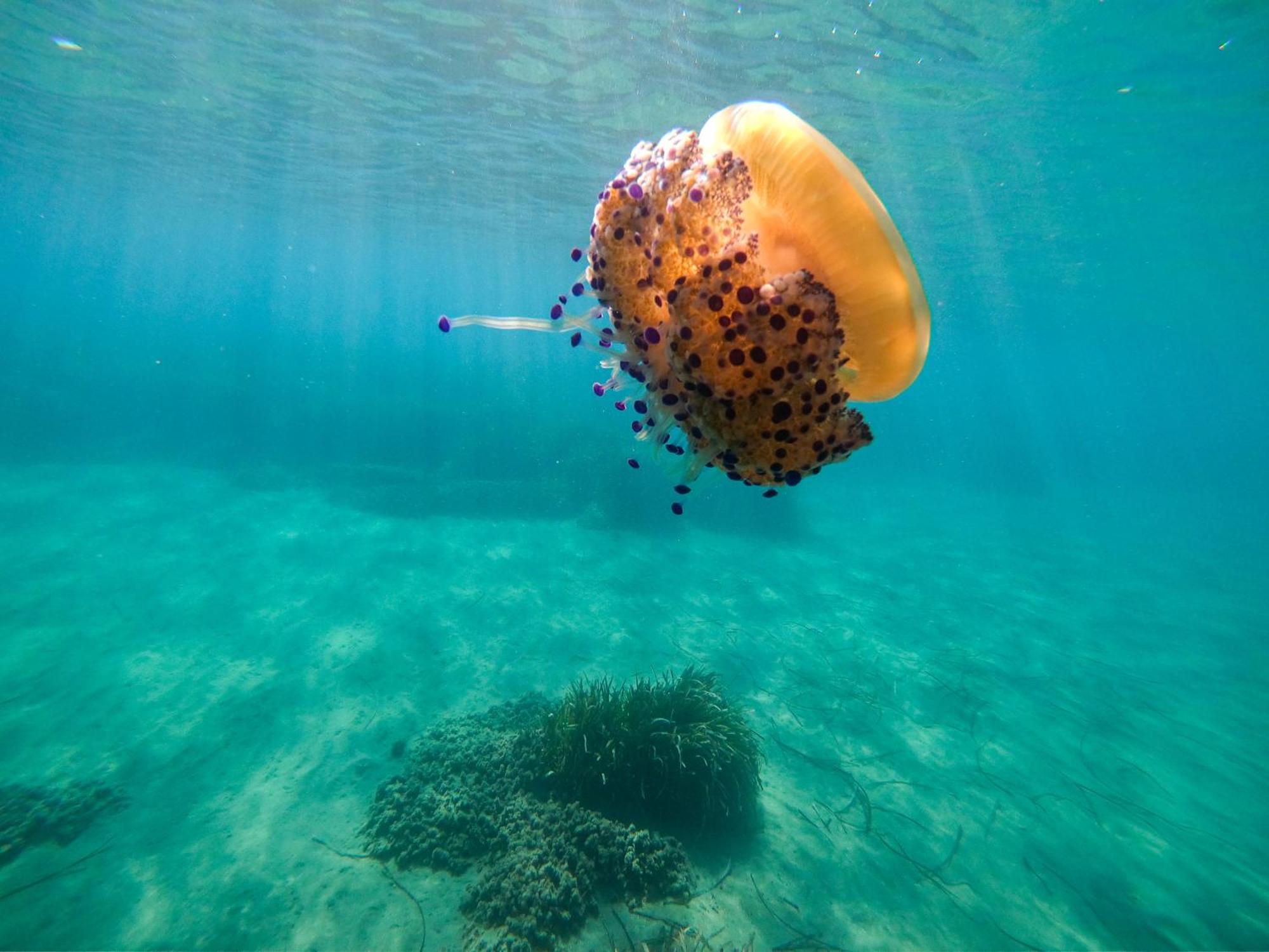 Complejo Turistico Los Bayiyos Agua Amarga  Exterior foto